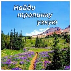 Найди тропинку узкую - МХО МСЦ ЕХБ 2013г.