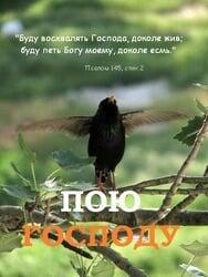 Пою Господу (Сборник №2) - МХО МСЦ ЕХБ